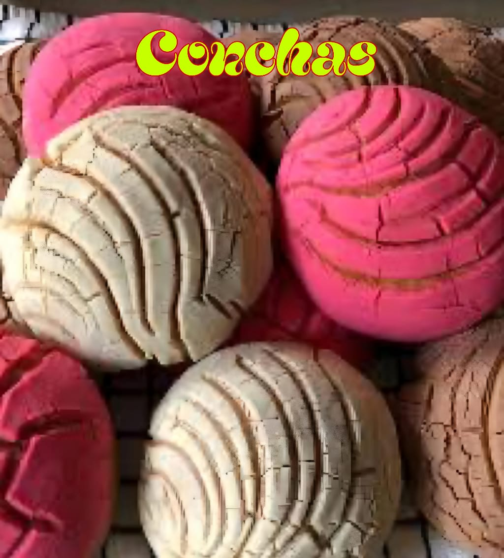 4 CT Conchas